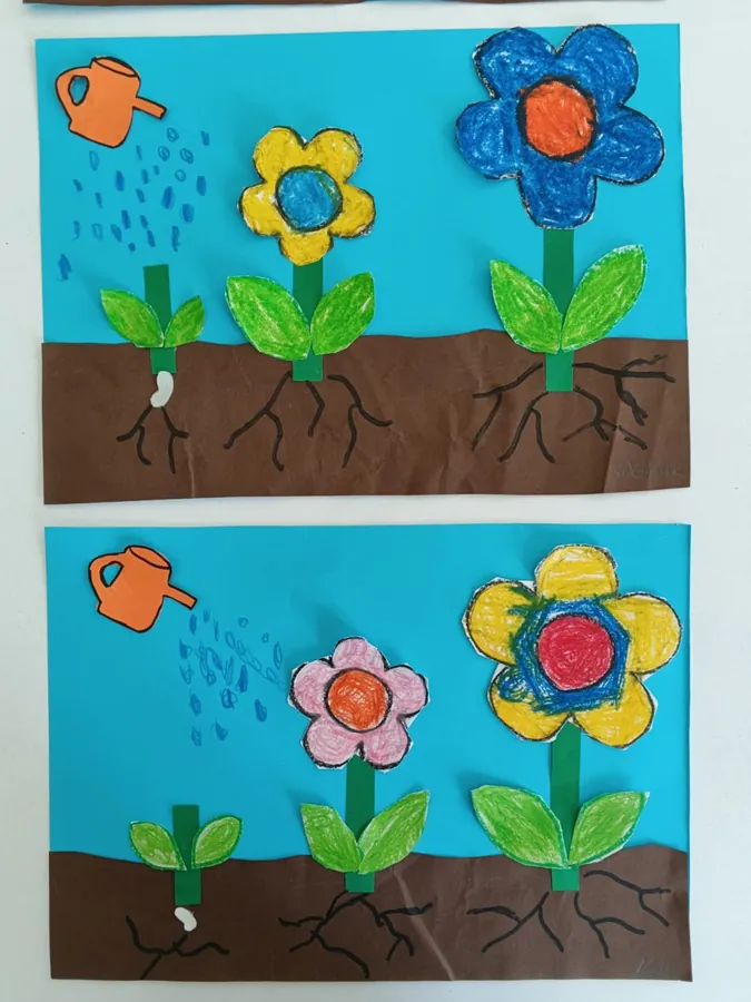 Pictures of flowers taking root in the soil