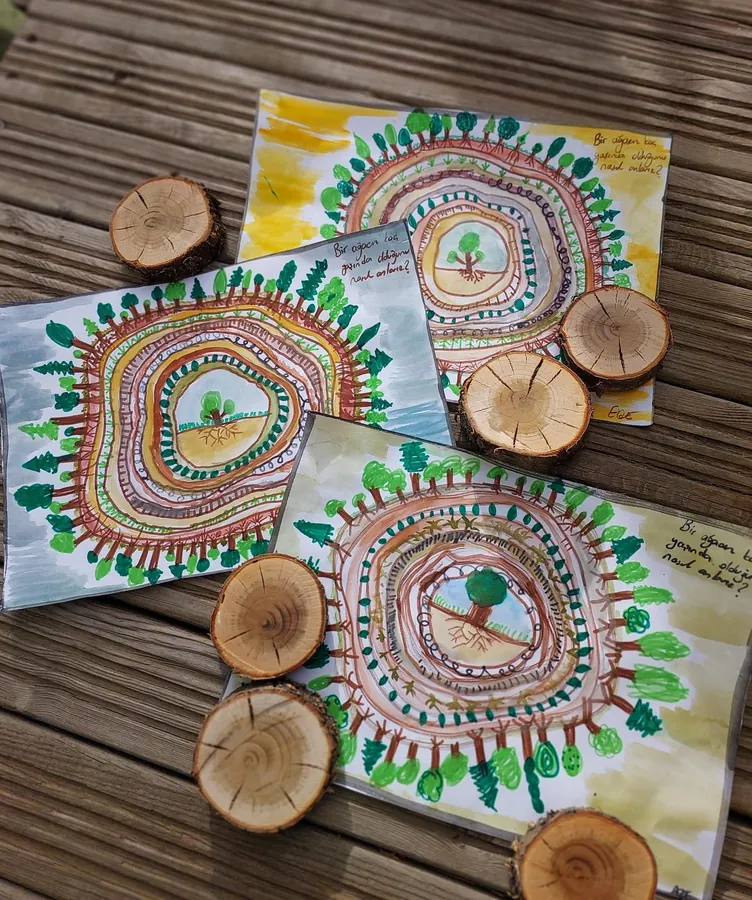 Tree-ring pictures and log slices