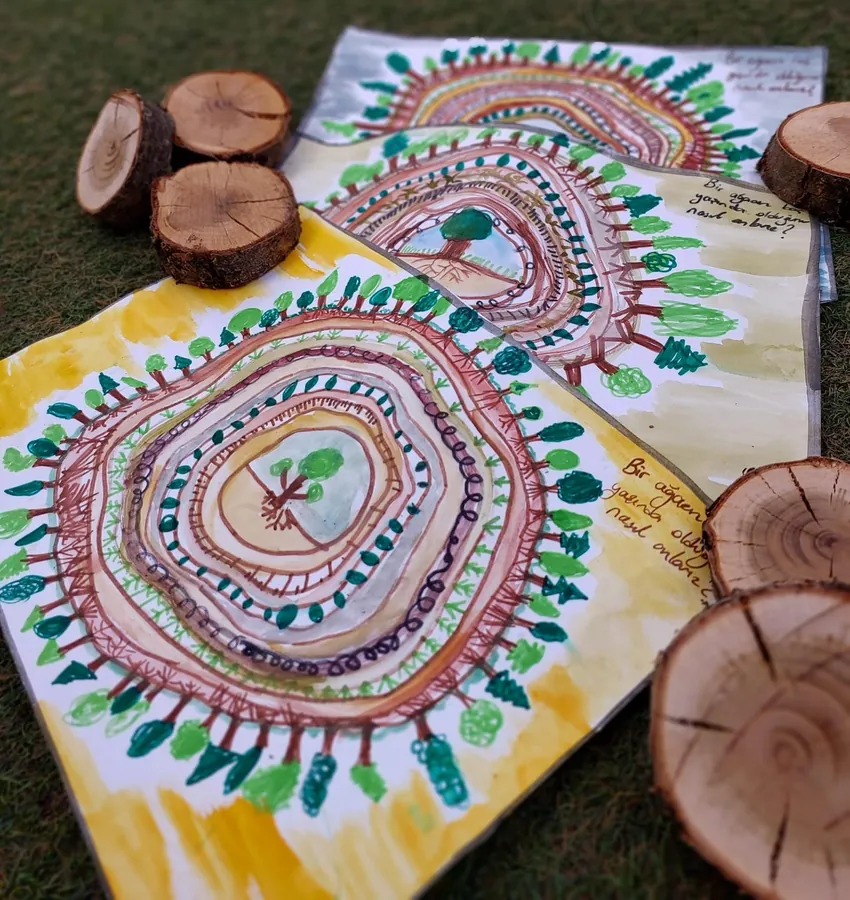 Close-up of a tree-ring picture