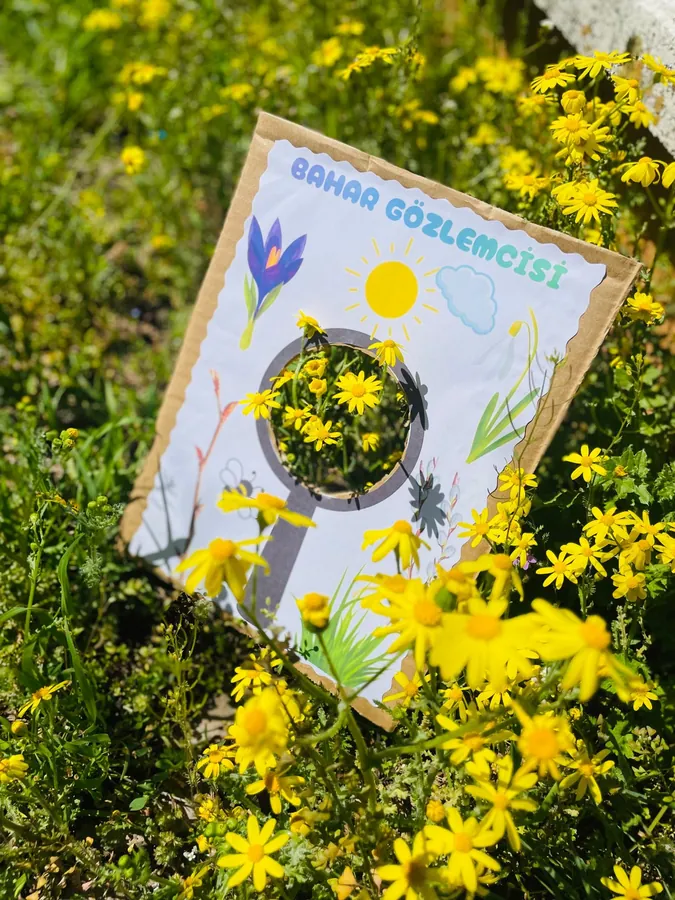 Spring Observer magnifying-glass card among yellow flowers