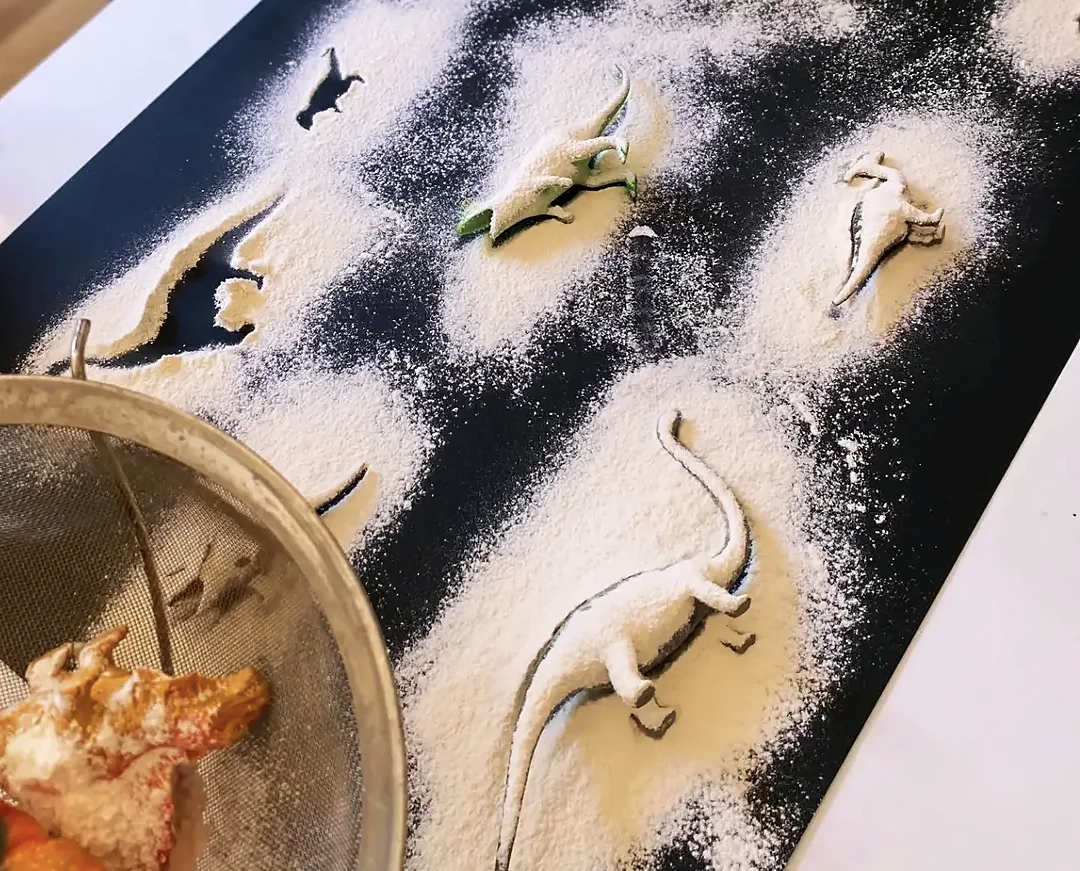 Dinosaur silhouettes made by sifting flour over toy dinosaurs on black card